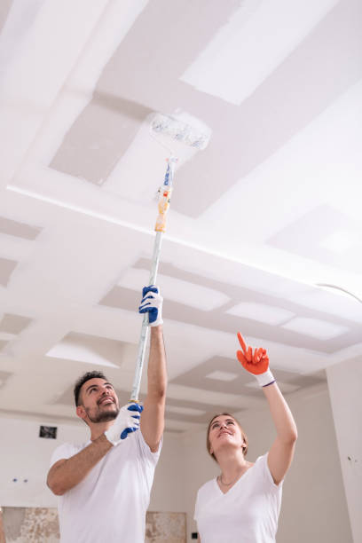 Best Mold Removal for HVAC Installations  in Oregon, WI